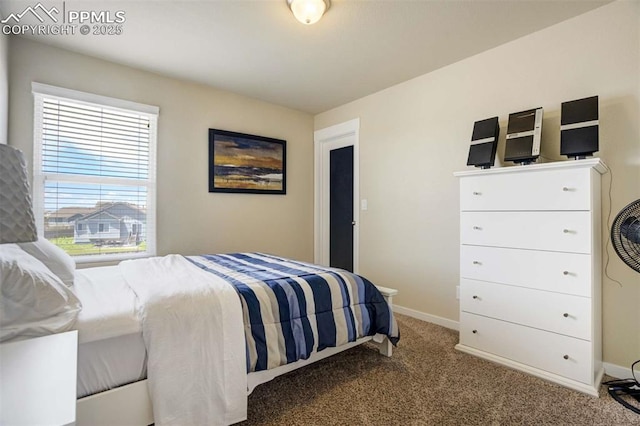 10208 Abrams Dr, Colorado Springs, CO 80925 - carpeted bedroom with baseboards