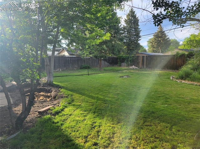 2619 N Arcadia St, Colorado Springs, CO 80907 - view of yard