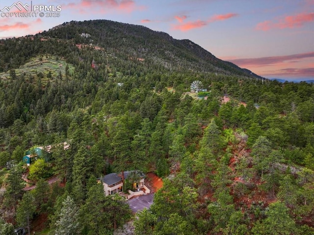 4840 Pikes Peak Hwy, Cascade, CO 80809 - view of mountain backdrop with a heavily wooded area