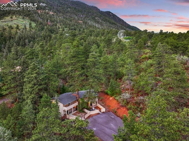 4840 Pikes Peak Hwy, Cascade, CO 80809 - view of mountain backdrop with a heavily wooded area