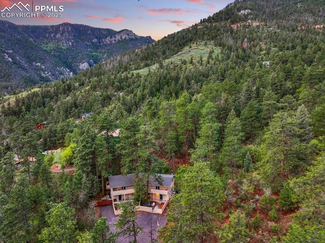 4840 Pikes Peak Hwy, Cascade, CO 80809 - view of mountain background with a forest