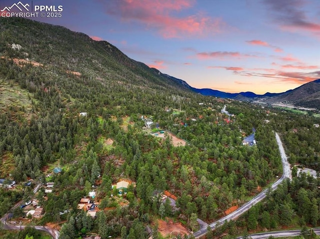 4840 Pikes Peak Hwy, Cascade, CO 80809 - mountain view featuring a heavily wooded area