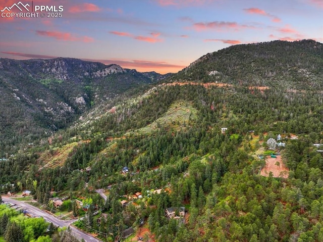 4840 Pikes Peak Hwy, Cascade, CO 80809 - view of mountain backdrop with a forest