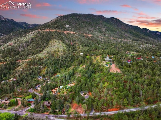 4840 Pikes Peak Hwy, Cascade, CO 80809 - mountain view with a forest