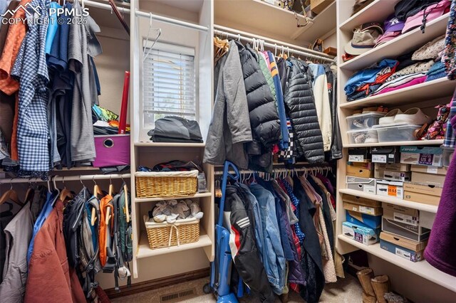 20280 Melanie Ann Ct, Monument, CO 80132 - spacious closet with carpet flooring