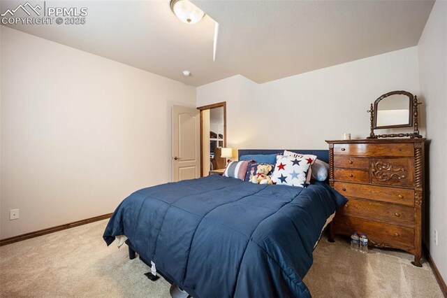 20280 Melanie Ann Ct, Monument, CO 80132 - bedroom with carpet flooring and baseboards