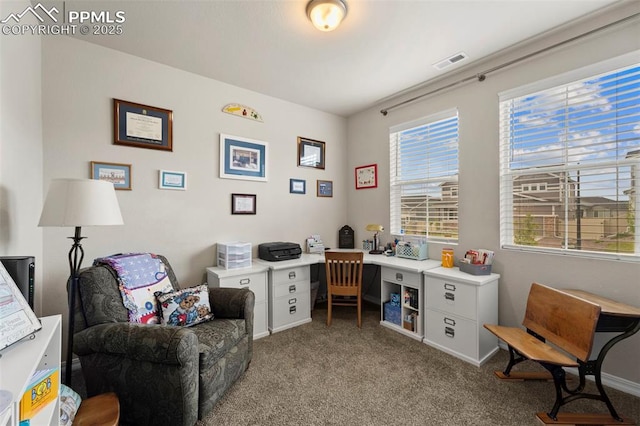 13138 Stoney Meadows Way, Peyton, CO 80831 - carpeted office featuring baseboards