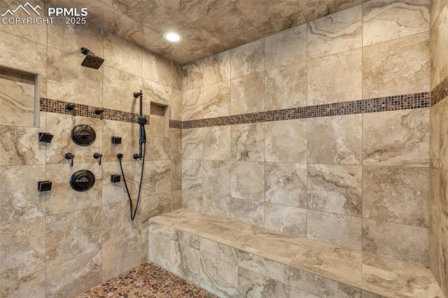 15958 Shadow Mountain Ranch Rd, Larkspur, CO 80118 - full bathroom featuring a tile shower