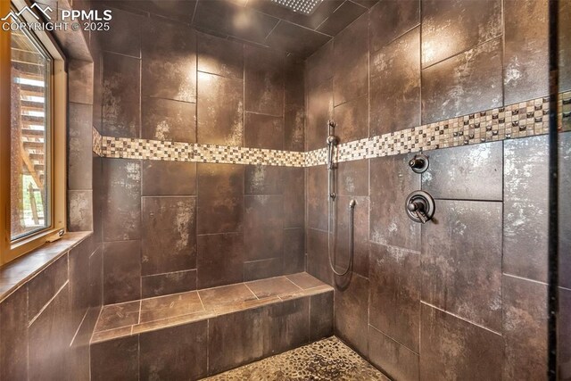 15958 Shadow Mountain Ranch Rd, Larkspur, CO 80118 - full bathroom with a tile shower