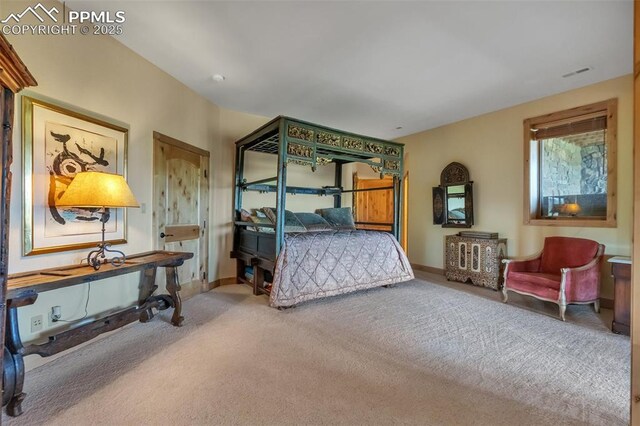 15958 Shadow Mountain Ranch Rd, Larkspur, CO 80118 - bedroom with carpet floors and baseboards