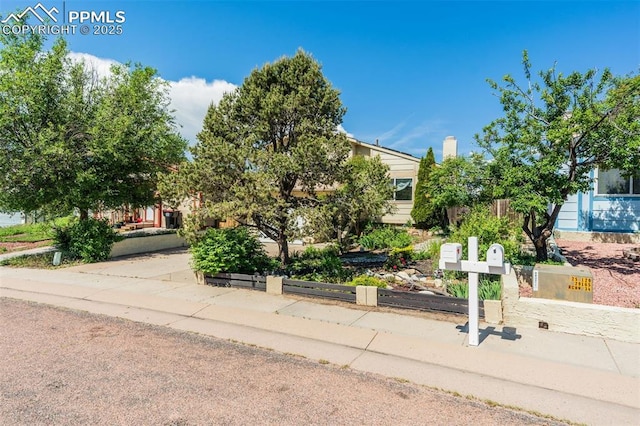 6430 Chantilly Pl, Colorado Springs, CO 80922 - view of property hidden behind natural elements