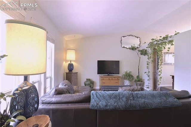 2525 Snowbird Ct, Colorado Springs, CO 80918 - living area featuring vaulted ceiling and plenty of natural light