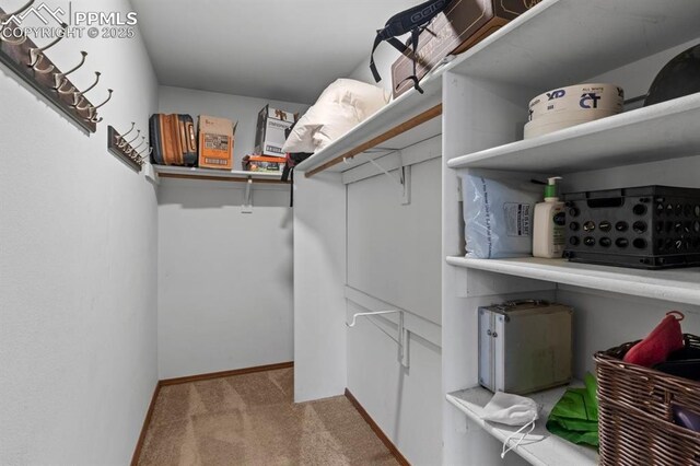 527 W Columbia St, Colorado Springs, CO 80907 - spacious closet featuring carpet floors