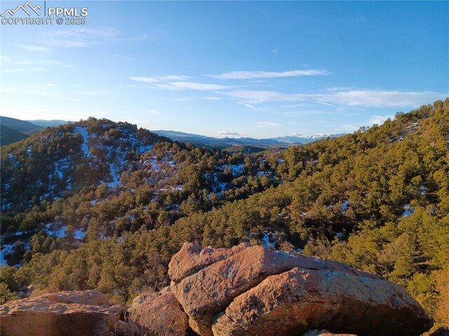 TR3 Mineshaft Pl, Cotopaxi, CO 81223