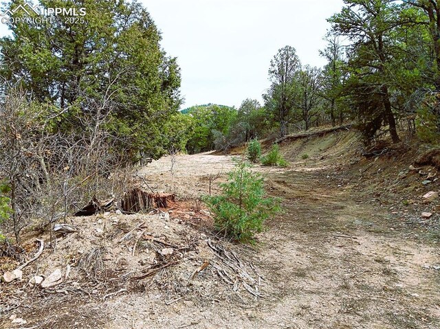 TR3 Mineshaft Pl, Cotopaxi, CO 81223
