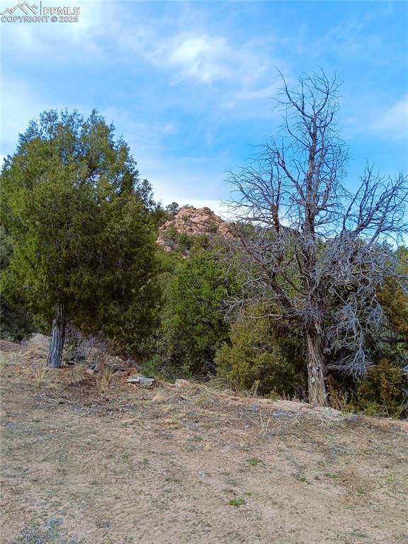 TR3 Mineshaft Pl, Cotopaxi, CO 81223