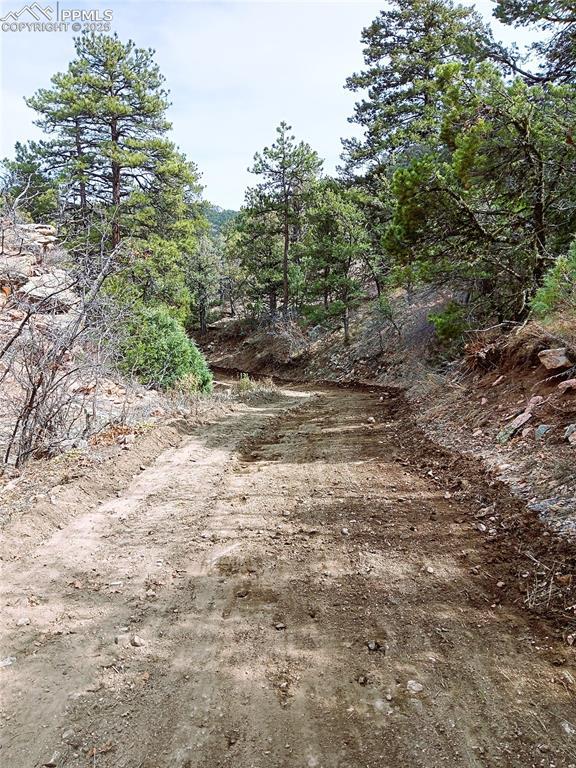 TR3 Mineshaft Pl, Cotopaxi, CO 81223
