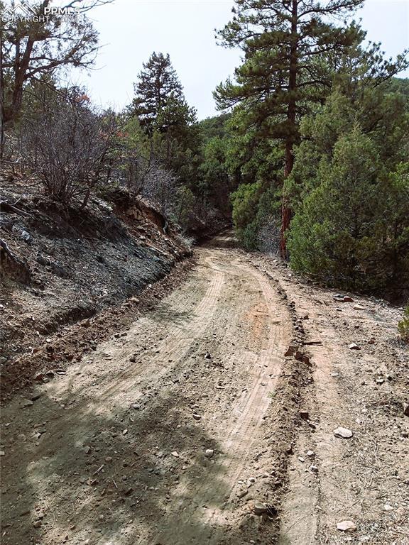 TR3 Mineshaft Pl, Cotopaxi, CO 81223