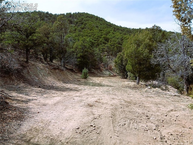TR3 Mineshaft Pl, Cotopaxi, CO 81223