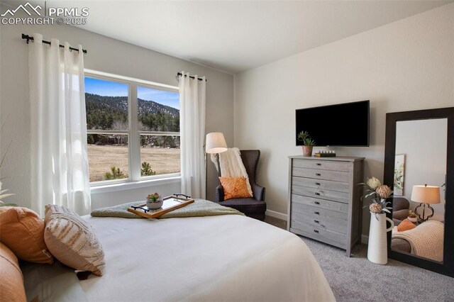529 Brecken Ct Unit A, Woodland Park, CO 80863 - bedroom featuring carpet floors and baseboards