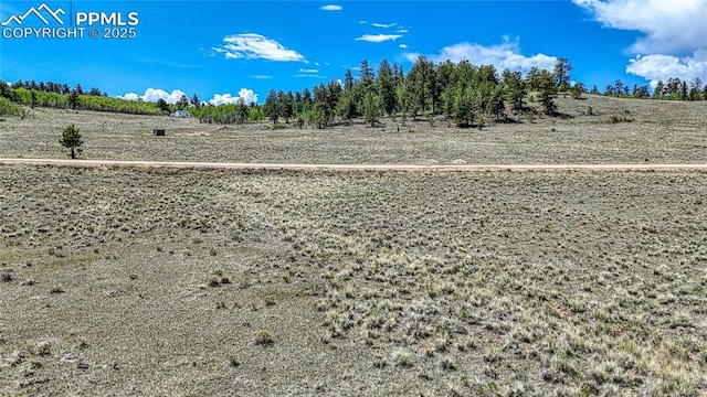 4332 Goldenburg Canyon Rd, Hartsel, CO 80449