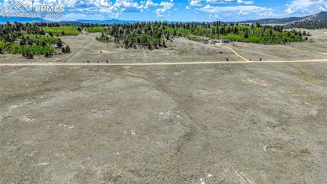 4332 Goldenburg Canyon Rd, Hartsel, CO 80449