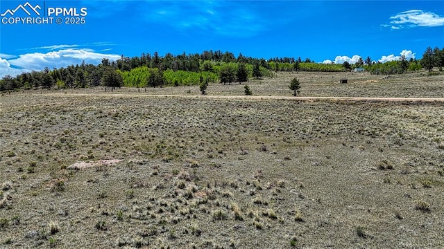 4332 Goldenburg Canyon Rd, Hartsel, CO 80449