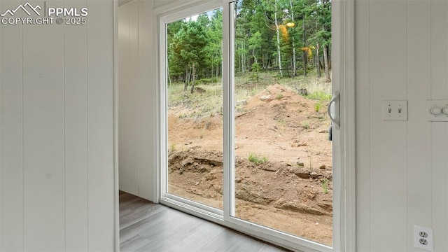 900 Beaver Creek Dr, Florissant, CO 80816 - doorway with wood finished floors and a decorative wall