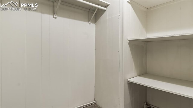 900 Beaver Creek Dr, Florissant, CO 80816 - view of spacious closet