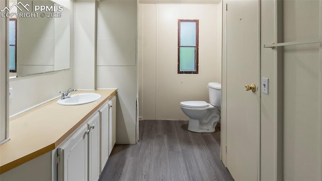 900 Beaver Creek Dr, Florissant, CO 80816 - bathroom with vanity, wood finished floors, and toilet