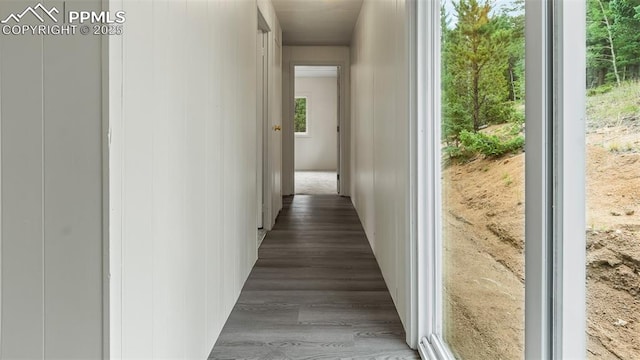 900 Beaver Creek Dr, Florissant, CO 80816 - hall featuring wood finished floors