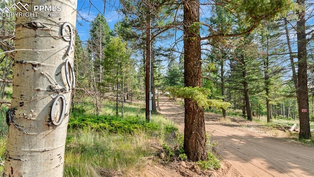 900 Beaver Creek Dr, Florissant, CO 80816 - view of yard
