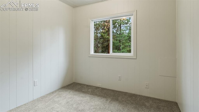 900 Beaver Creek Dr, Florissant, CO 80816 - view of carpeted spare room