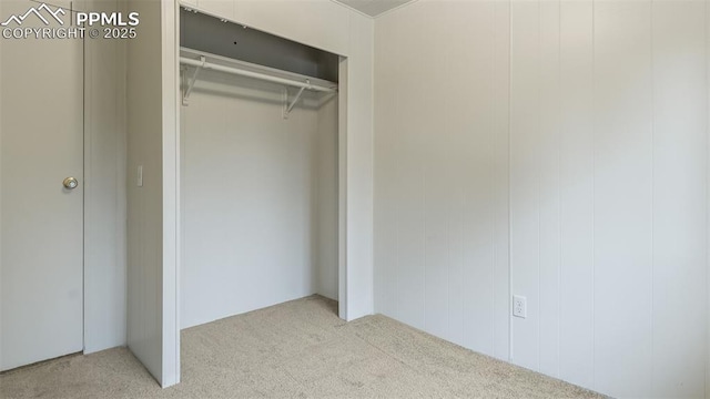 900 Beaver Creek Dr, Florissant, CO 80816 - view of closet