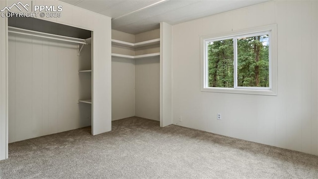 900 Beaver Creek Dr, Florissant, CO 80816 - unfurnished bedroom with carpet