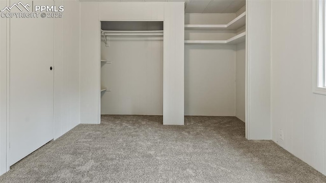 900 Beaver Creek Dr, Florissant, CO 80816 - unfurnished bedroom with carpet flooring
