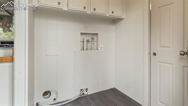 900 Beaver Creek Dr, Florissant, CO 80816 - washroom featuring cabinet space, hookup for a washing machine, and dark wood-style floors