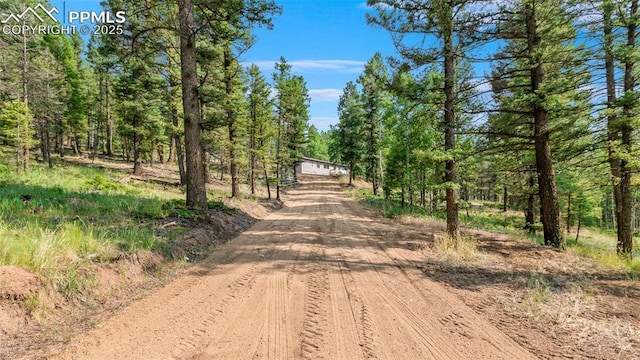 900 Beaver Creek Dr, Florissant, CO 80816 - view of dirt / gravel road