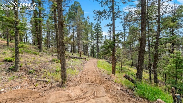 900 Beaver Creek Dr, Florissant, CO 80816 - view of road