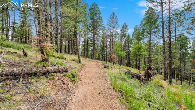 900 Beaver Creek Dr, Florissant, CO 80816 - view of woods