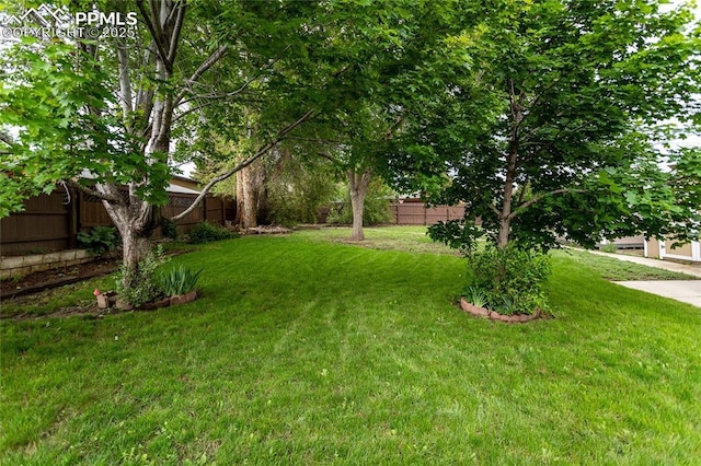 1017 N Sheridan Ave, Colorado Springs, CO 80909 - view of yard