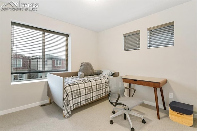 6697 Cool Breeze Dr, Colorado Springs, CO 80923 - bedroom featuring multiple windows and carpet floors