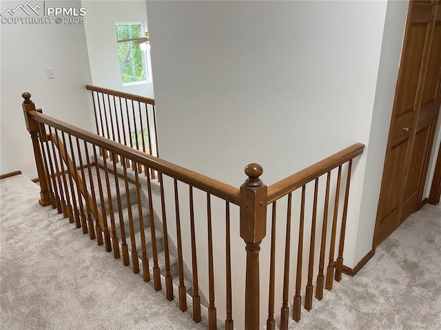 1185 Marlstone Pl, Colorado Springs, CO 80904 - stairway with carpet floors and baseboards
