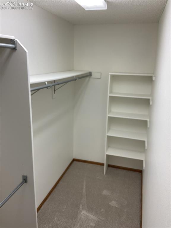 1185 Marlstone Pl, Colorado Springs, CO 80904 - walk in closet featuring carpet floors