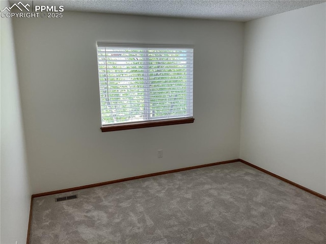 1185 Marlstone Pl, Colorado Springs, CO 80904 - carpeted spare room featuring a textured ceiling and baseboards