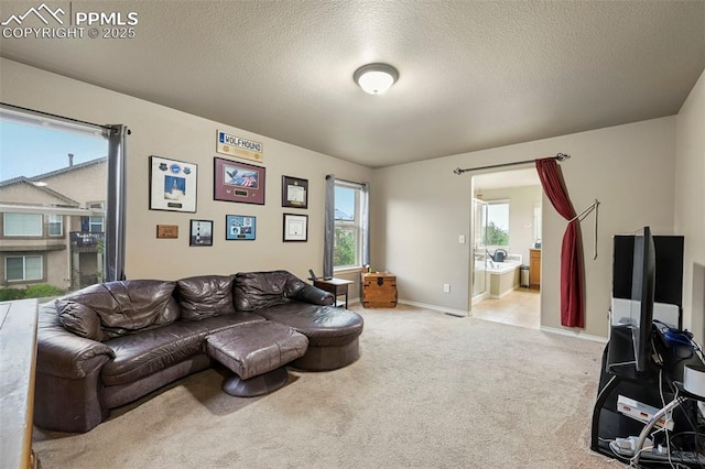 2374 Cinnabar Rd, Colorado Springs, CO 80921 - living area with light carpet and a textured ceiling