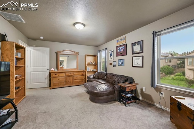 2374 Cinnabar Rd, Colorado Springs, CO 80921 - living area featuring carpet floors and a textured ceiling