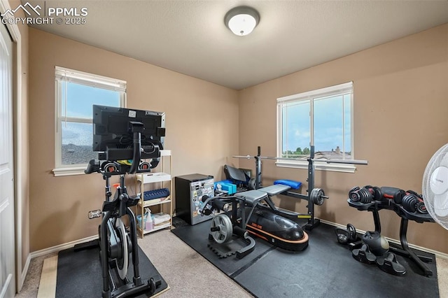 2374 Cinnabar Rd, Colorado Springs, CO 80921 - exercise area with healthy amount of natural light