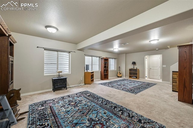 2374 Cinnabar Rd, Colorado Springs, CO 80921 - living area featuring carpet, a wood stove, and a textured ceiling
