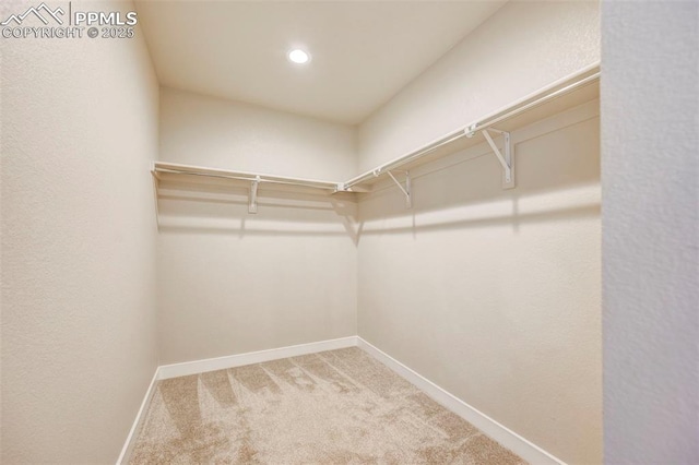 6967 Akela Ln, Colorado Springs, CO 80925 - spacious closet with carpet